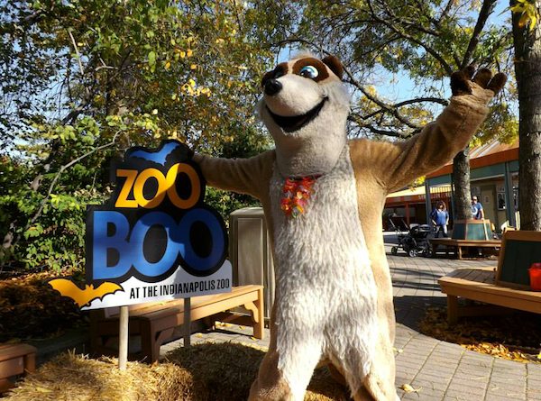 ZooBoo at the Indianapolis Zoo