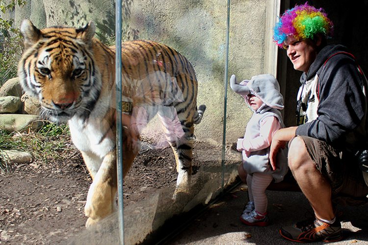Fall is already one of the best times to visit the Zoo. Check out ZooBoo Oct. 2-4, 9-11, 16-18 and 23-25.