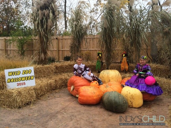 Wild Zoo Halloween - Fort Wayne Children's Zoo - Indy's Child