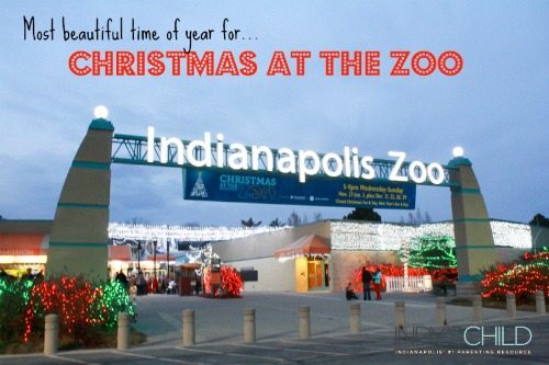 Christmas At Indianapolis Zoo - Indy's Child