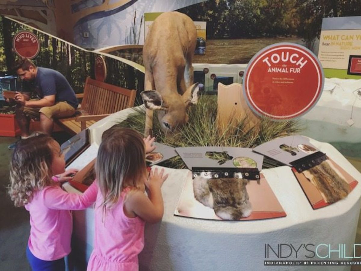 The Holliday Park Nature Center Indy S Child