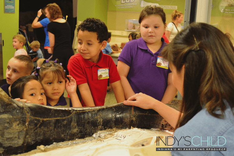 Dinomite Scientists Join Children's Museum _ Indy's Child Magazine