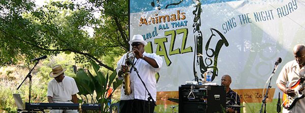 ANIMALS AND ALL THAT JAZZ