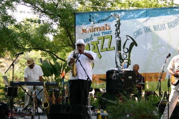 Animals and All That Jazz at the Indianapolis Zoo