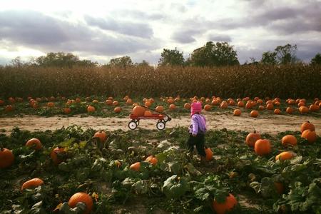 Hogan Farms