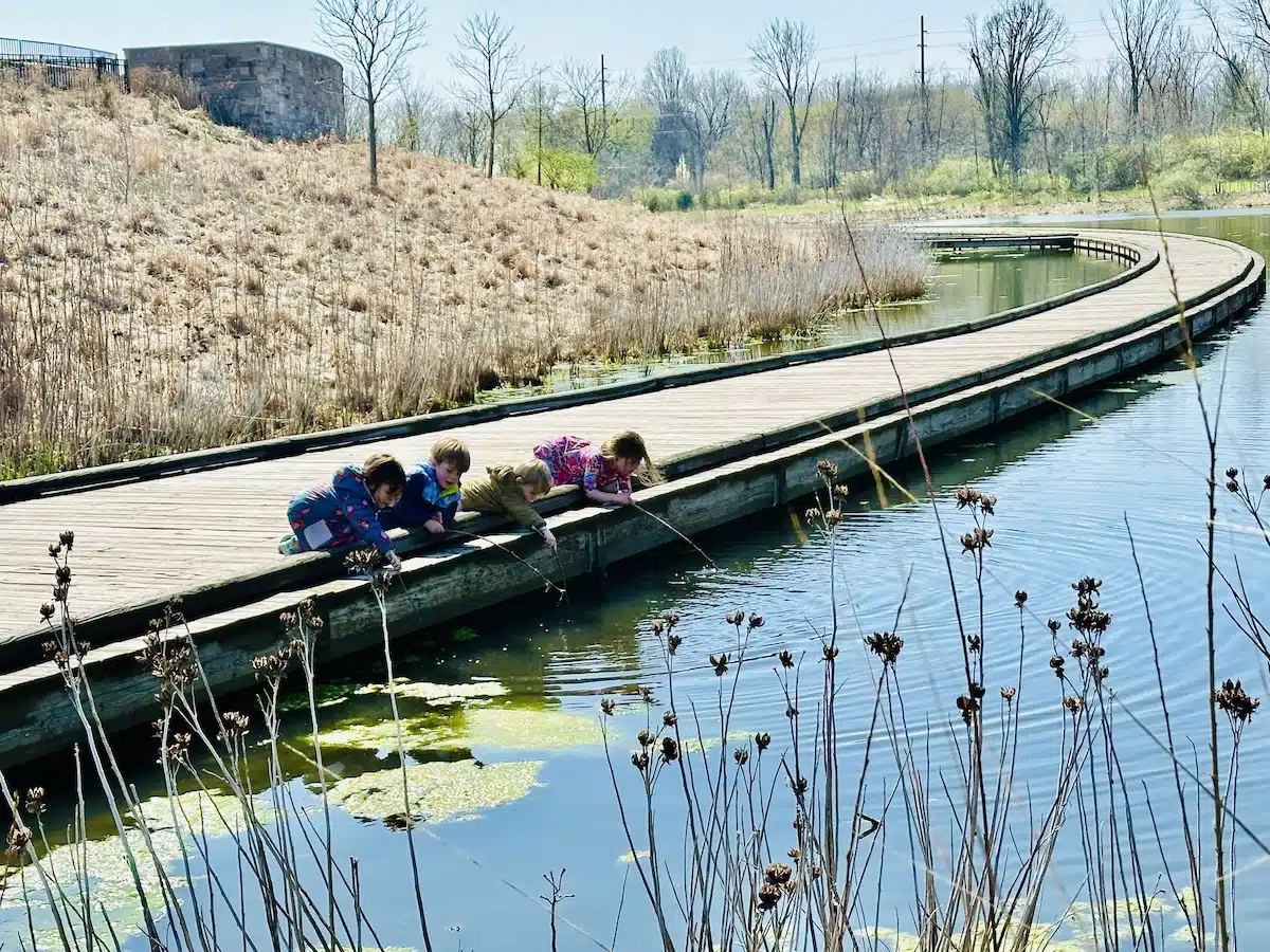 Westermeier Commons Playground in Carmel: Why Families Love It 9 Kids looking for turtles near the lagoon at Central Park in Carmel