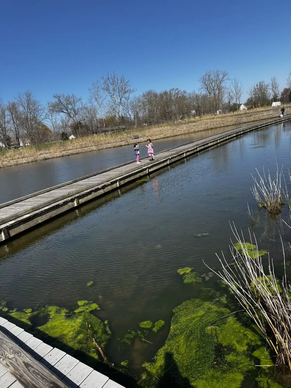 Westermeier Commons Playground in Carmel: Why Families Love It 11 Lagoon at Central Park in Carmel