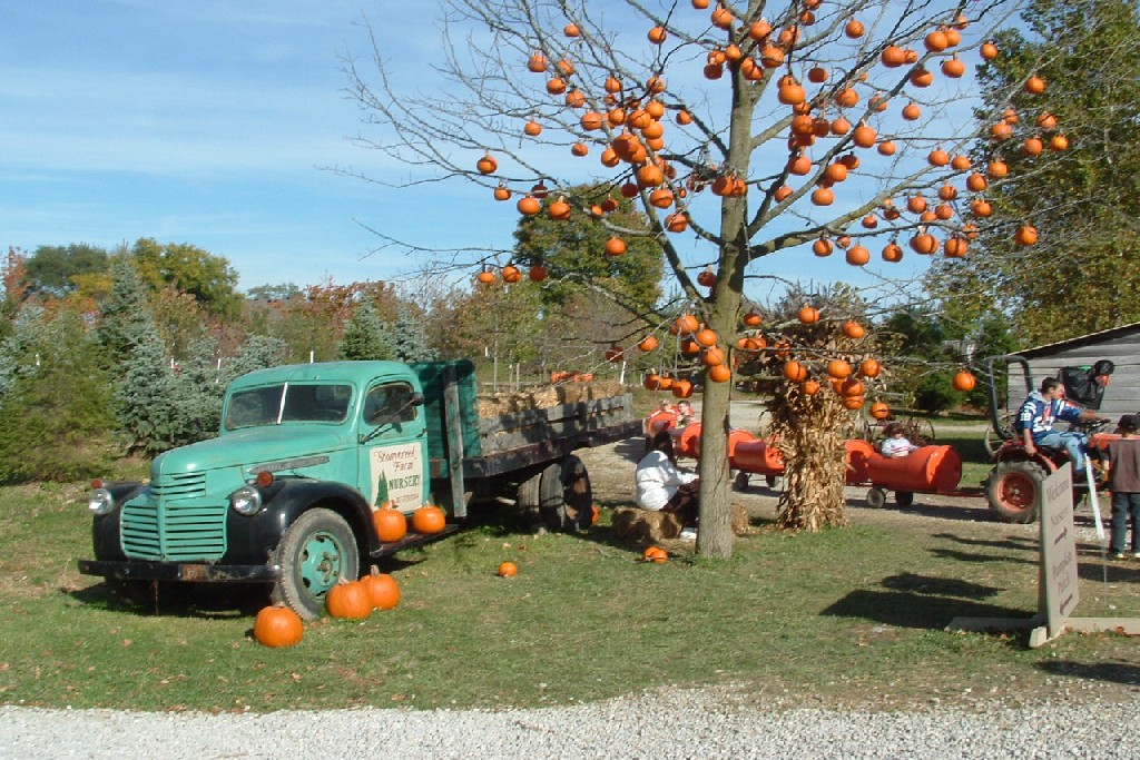 Stonycreek Farm