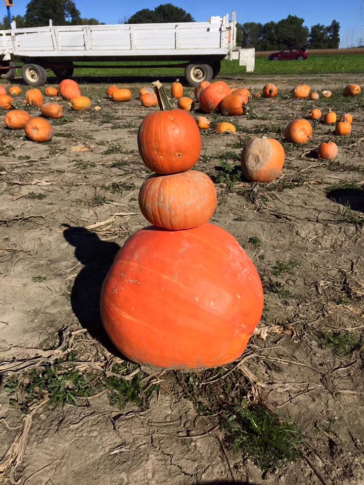 Waterman's Family Farm