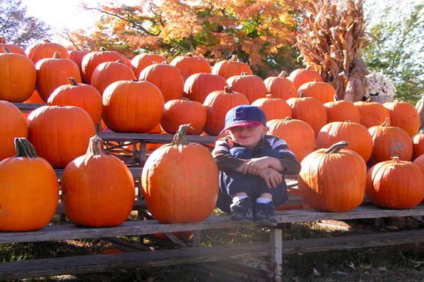 October Festivals in Hamilton County