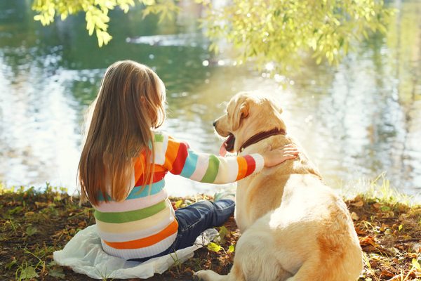 Could My Dog Be a Therapy Dog? Find out if your pooch has the right stuff!