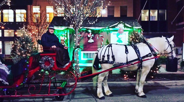 Carriage Rides and Reindeer “Meet and Greet,