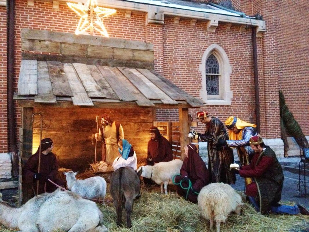 animal-nativity