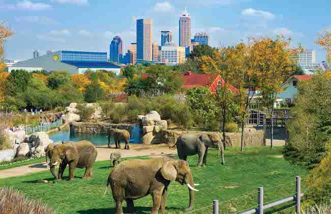 2017 Indianapolis Zoo Events