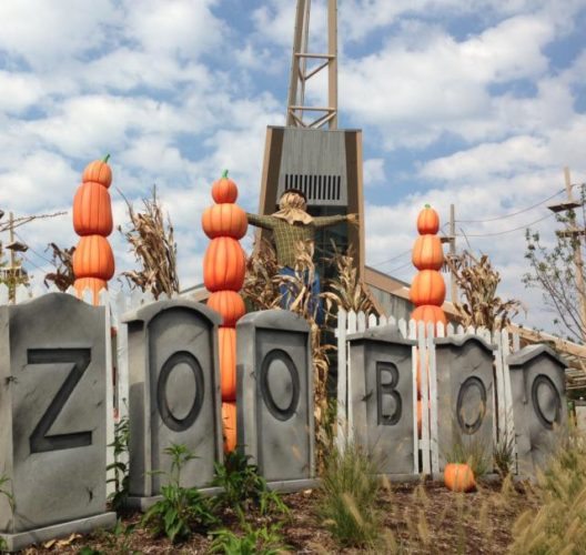 Enjoy Family-Friendly Halloween Fun During ZooBoo