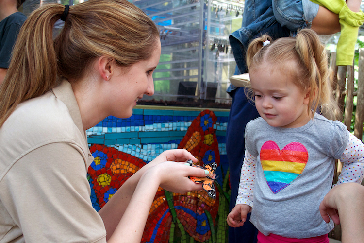Butterfly Kaleidoscope Returns to Indianapolis Zoo