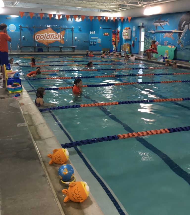 How our Goldfish Swim School Lessons Have Paid Off Confidence abounds at the lake this summer