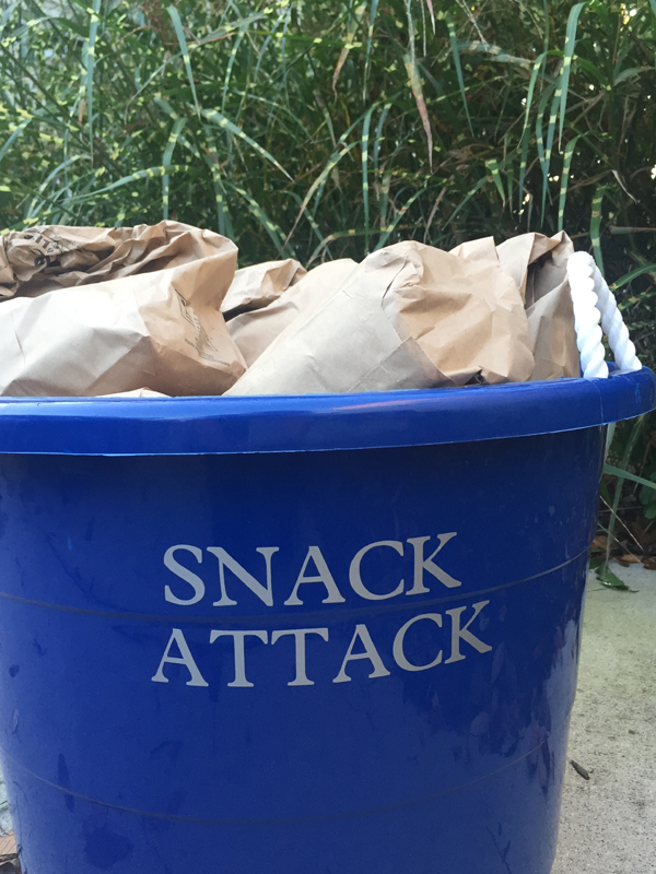Indy Snack Attack Helping fight childhood hunger one snack at a time 