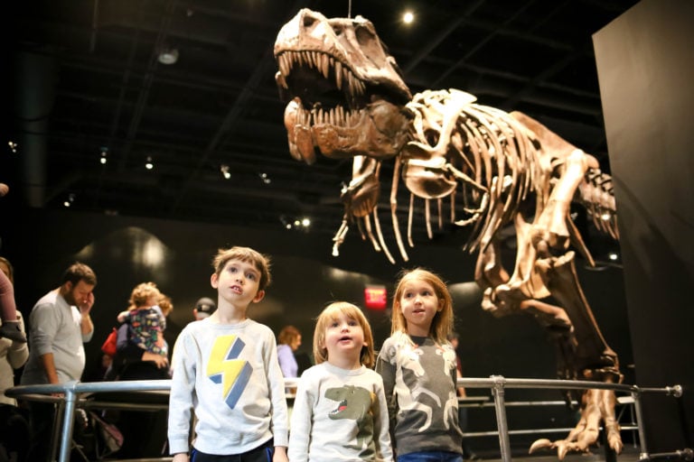 Worth a Trip: American Museum of Natural History Dinosaur Gallery at COSI A great day trip for winter break!