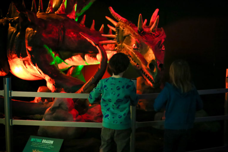 There are Dragons, Unicorns and Mermaids at COSI! Mythic Creatures is open daily through Sept. 2 at COSI