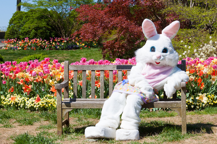 Free family photos with the Easter Bunny Indy's Child Magazine