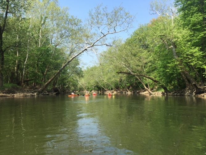 Where to Canoe and Kayak in Central Indiana - Indy's Child Magazine