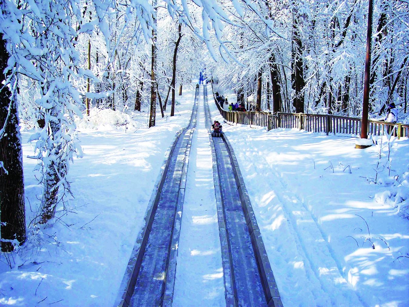 Pokagon State Park toboggan run