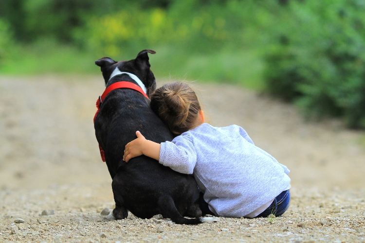 Should We Get a Pet? Kids with autism can benefit from the companionship that a pet brings to a family