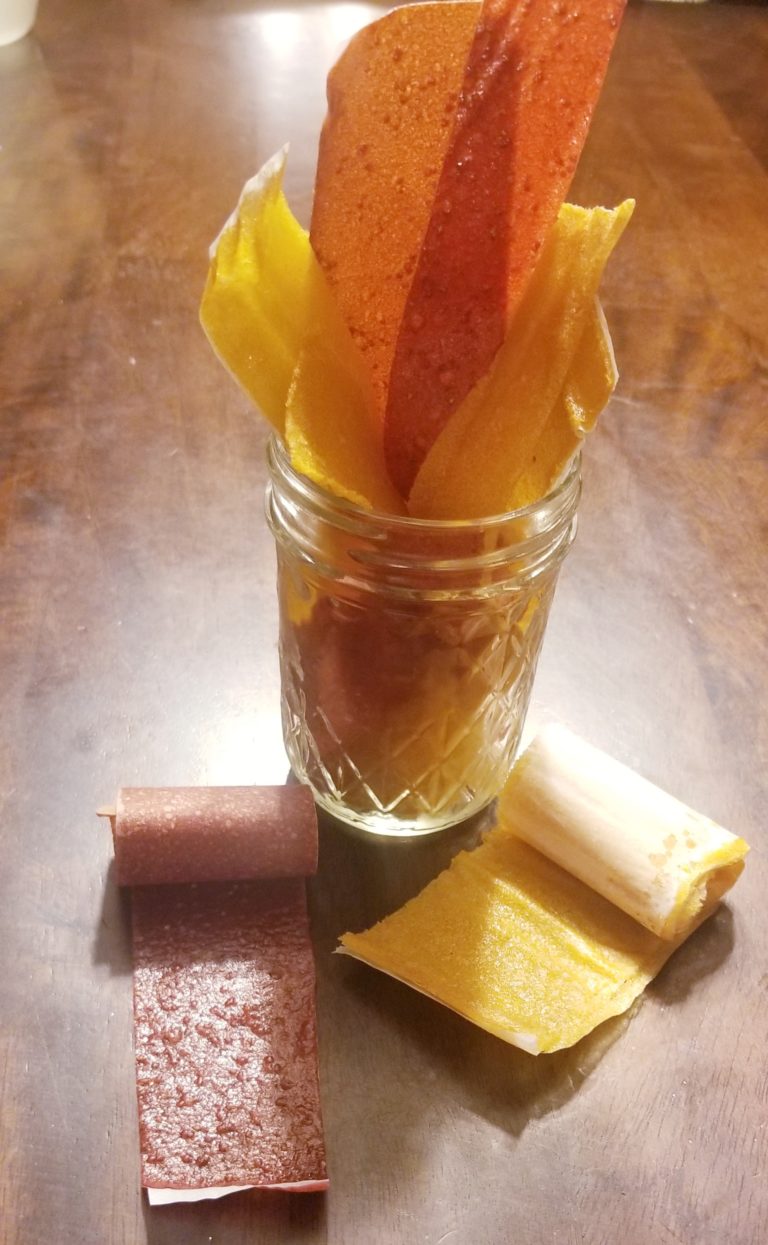 DIY Fruit RollUps Indy's Child Magazine