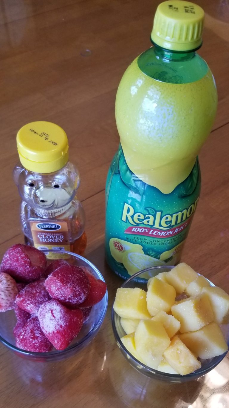 DIY Fruit RollUps Indy's Child Magazine