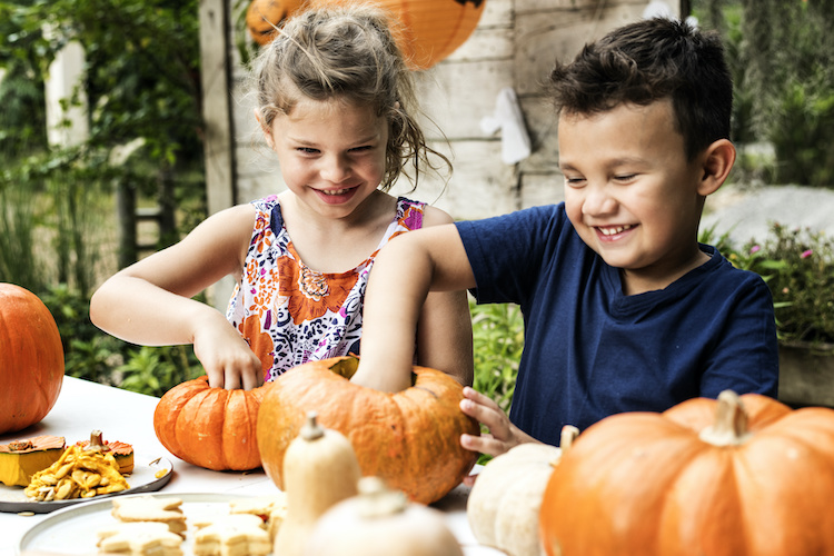 Socially Distant Fall Fun Activities around Indianapolis Family-friendly adventures to get into the autumn season.