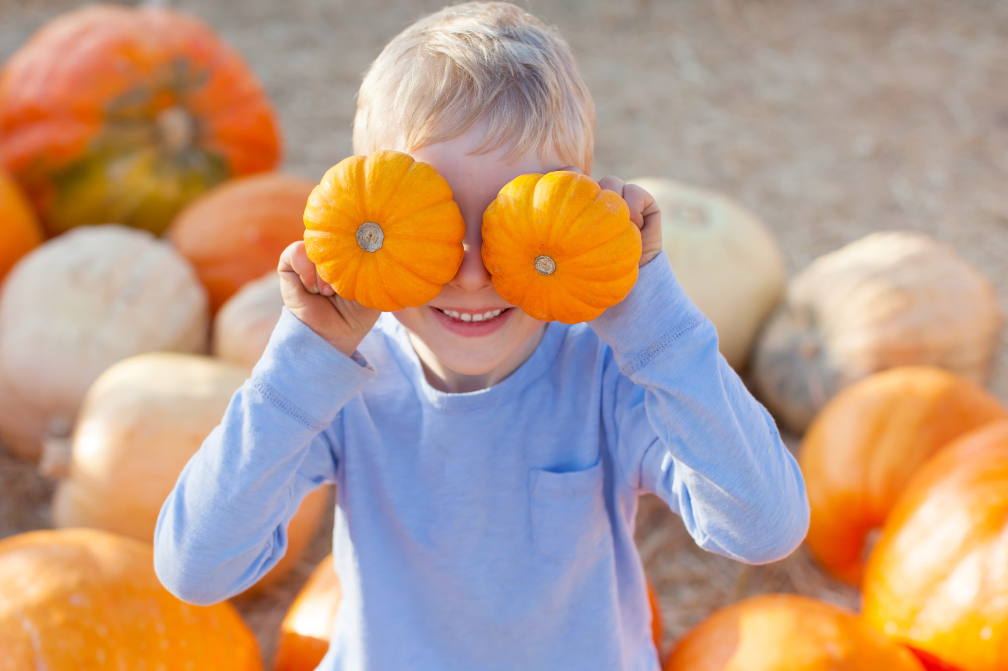 Fall Festival at Brown County State Park