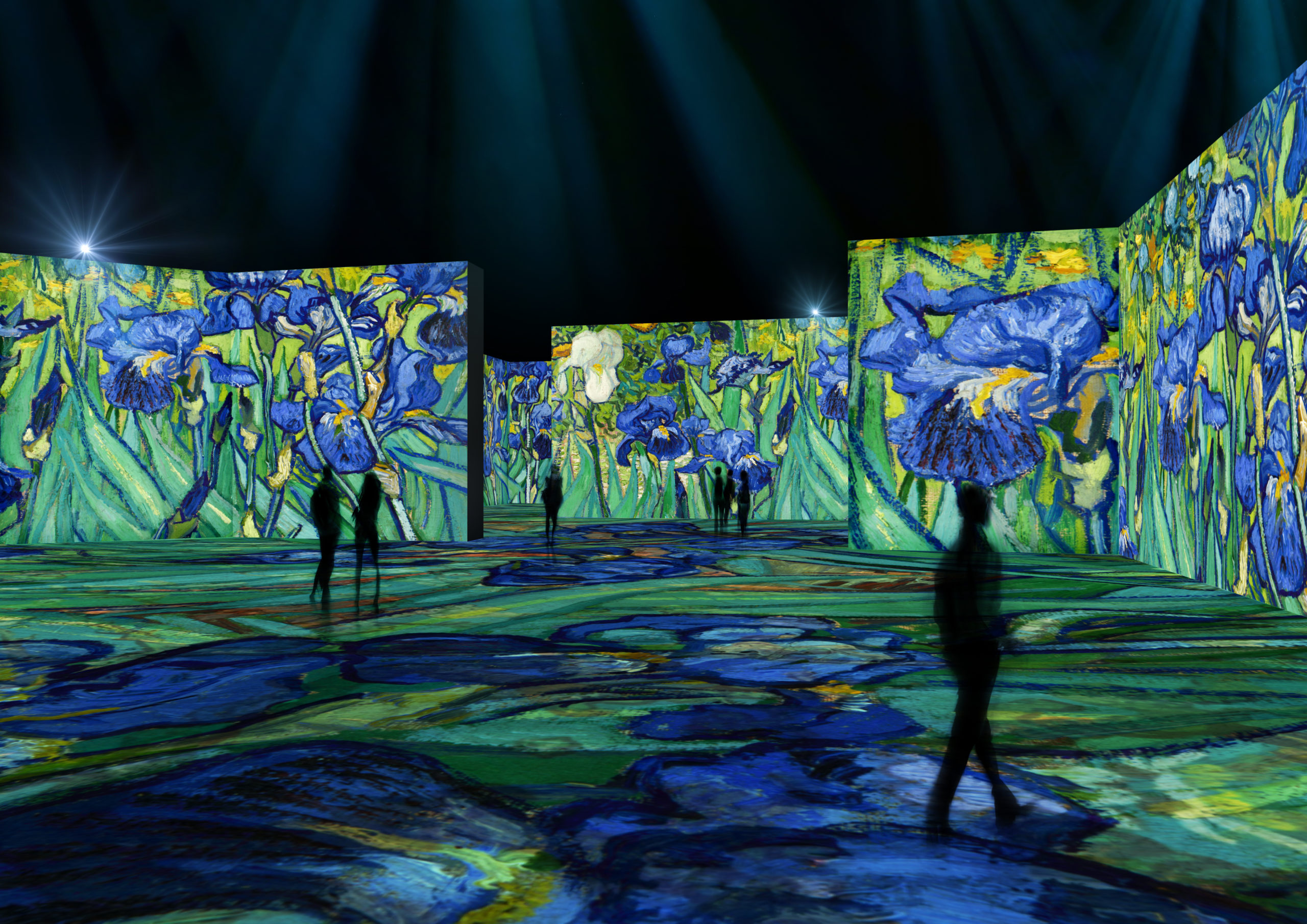 Van Gogh_Angle1_Iris_300dpi Van Gogh_Angle1_Iris_300dpi