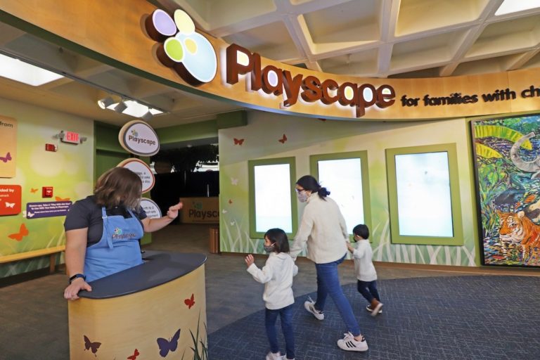 Playscape is reopening at The Children’s Museum portions of Playscape are reopening!