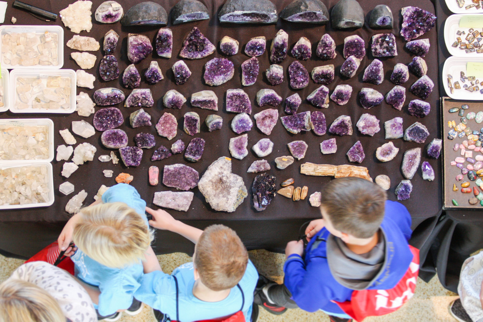 GeoFest Indiana State Museum