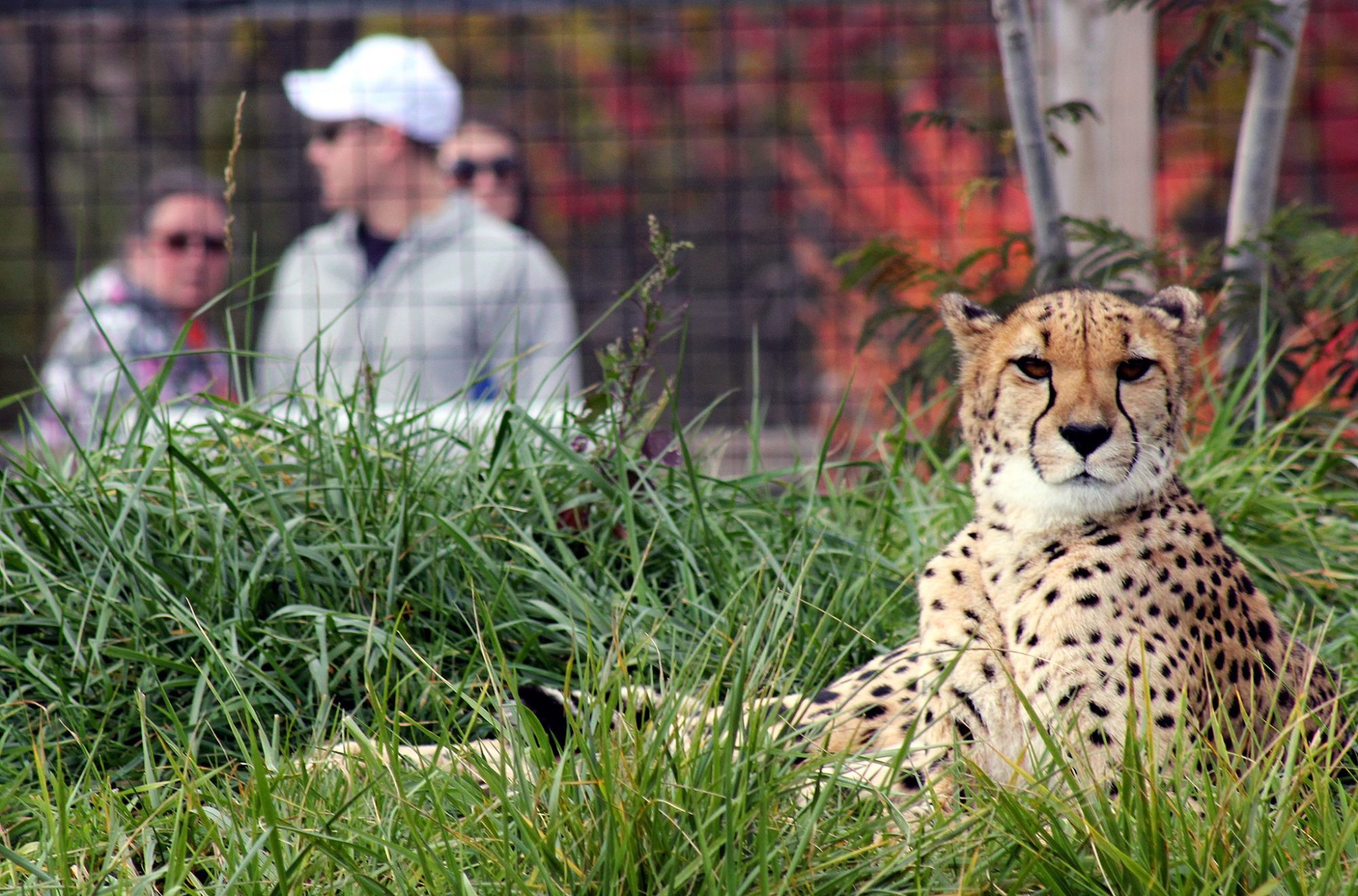 Indianapolis Zoo