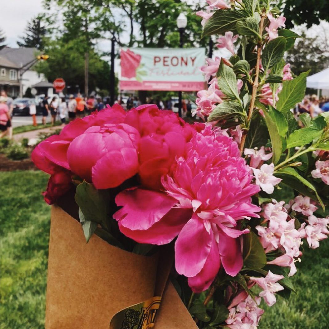 The 2023 Indiana Peony Festival in Noblesville Indy's Child