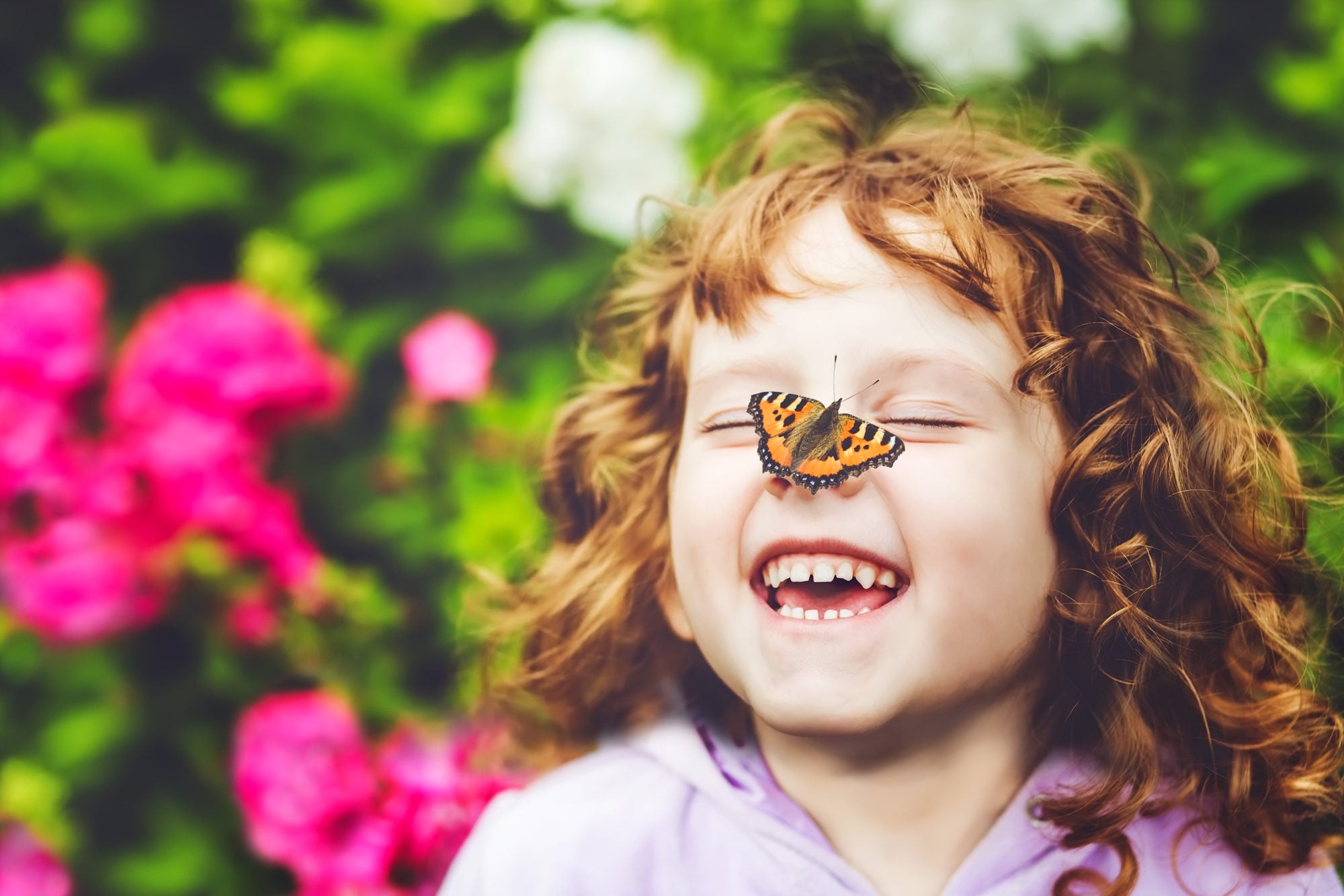 Bilingual Nature Series at Holliday Park