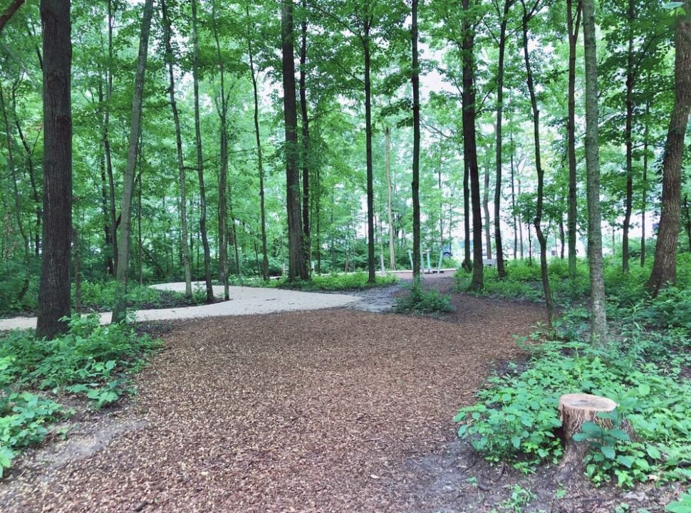 3 Jill Perelman Pavilion