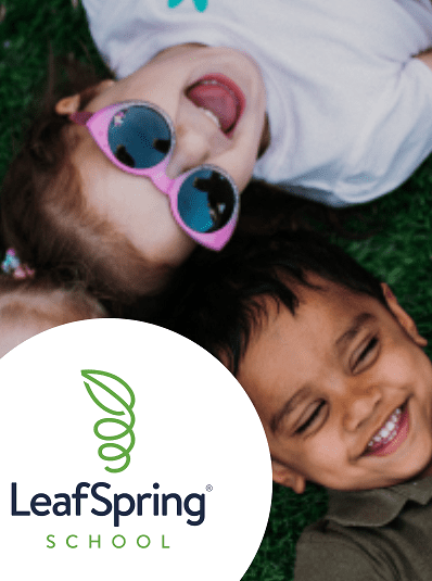 leafspring