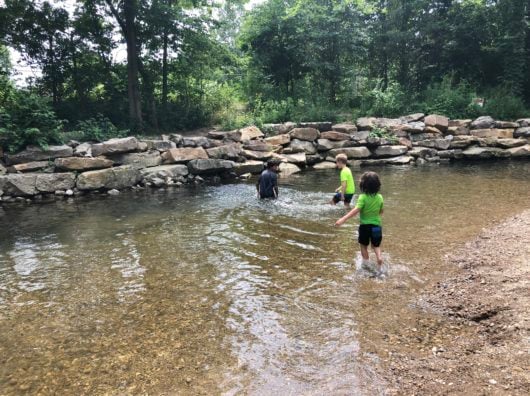 Creek Stomping at Flowing Well Park