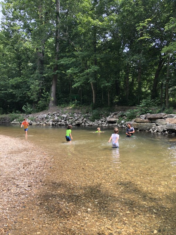 Creek Stomping at Flowing Well Park