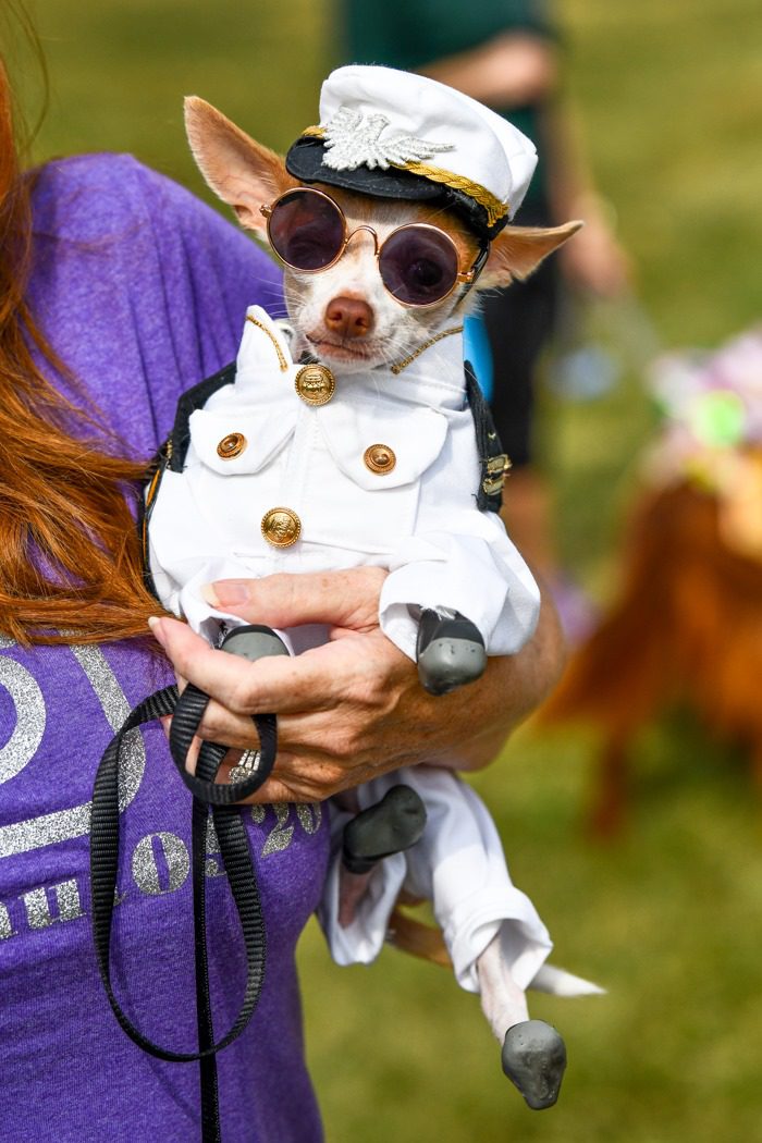 Barktoberfest