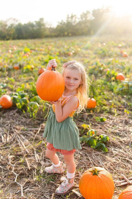 Dulls Pumpkin Patch