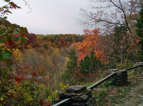Fall Foliage in Indiana - Clifty Falls State Park
