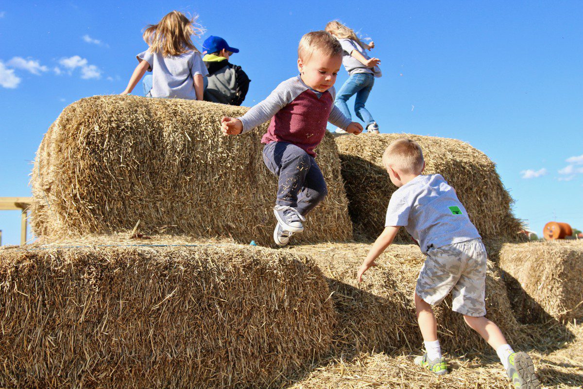 Fall Fun at Tuttle Orchards