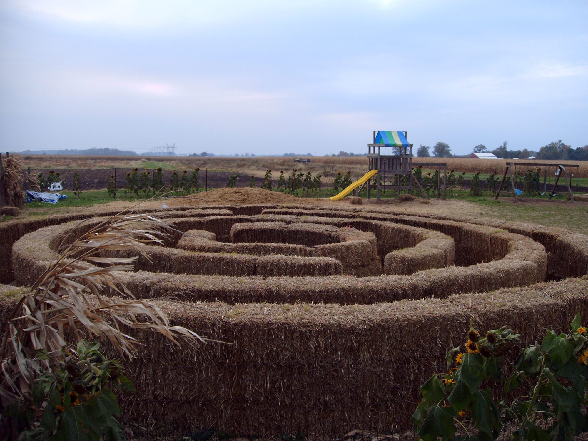Fall at Tuttle Orchards