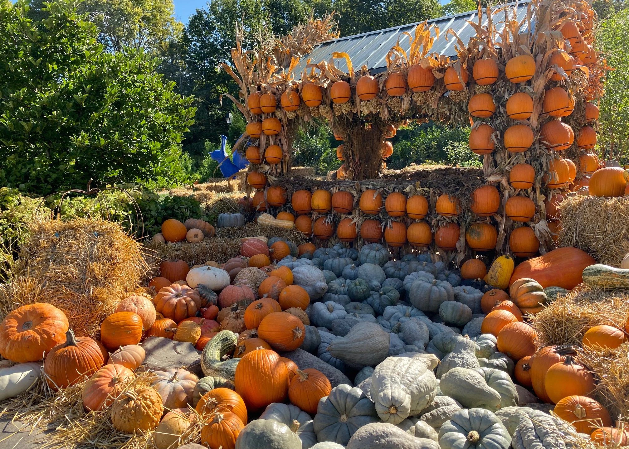 Harvest Days - Indy's Child Magazine