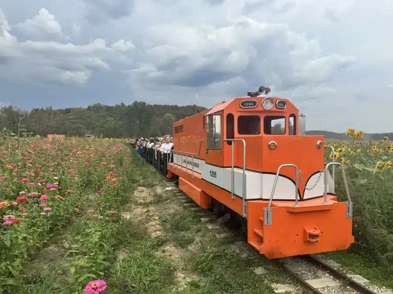 lark ranch train ride