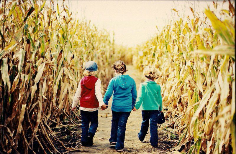 Fall at Tuttle Orchards
